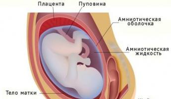 When does the placenta finish forming?
